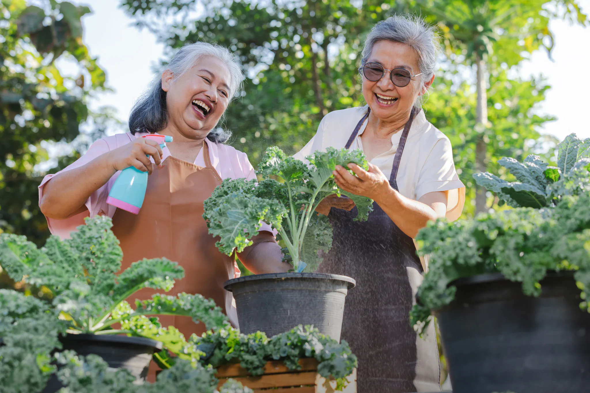 Cư dân sinh hoạt cộng đồng